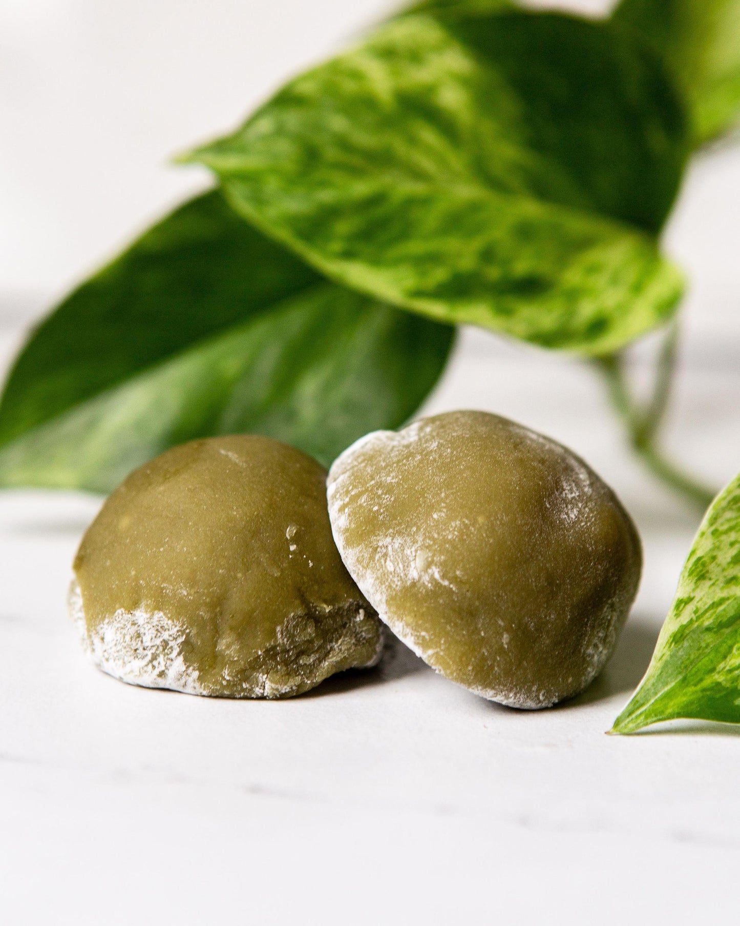 Matcha Daifuku