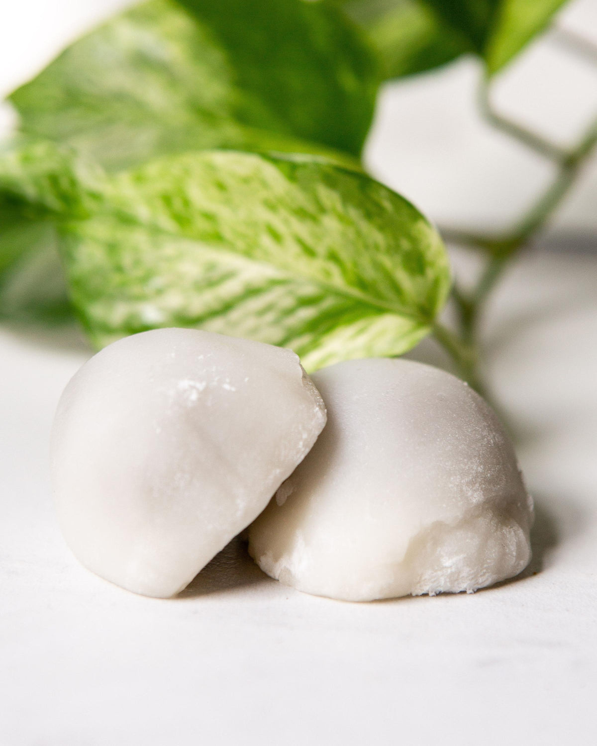 Plain Daifuku – Kuro Neko Desserts